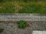 image of grave number 312740